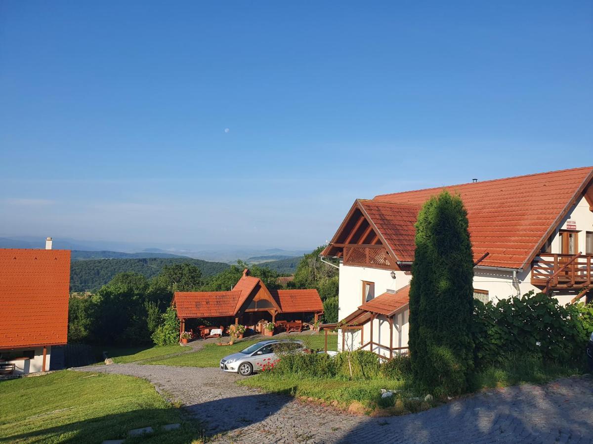 Pensiunea Szilas Panzio Păuleni Buitenkant foto