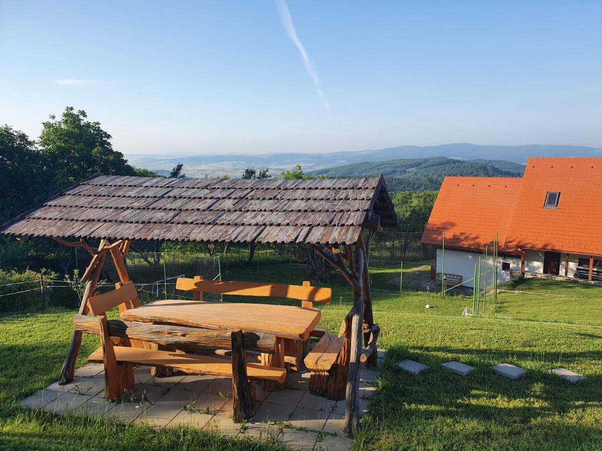 Pensiunea Szilas Panzio Păuleni Buitenkant foto