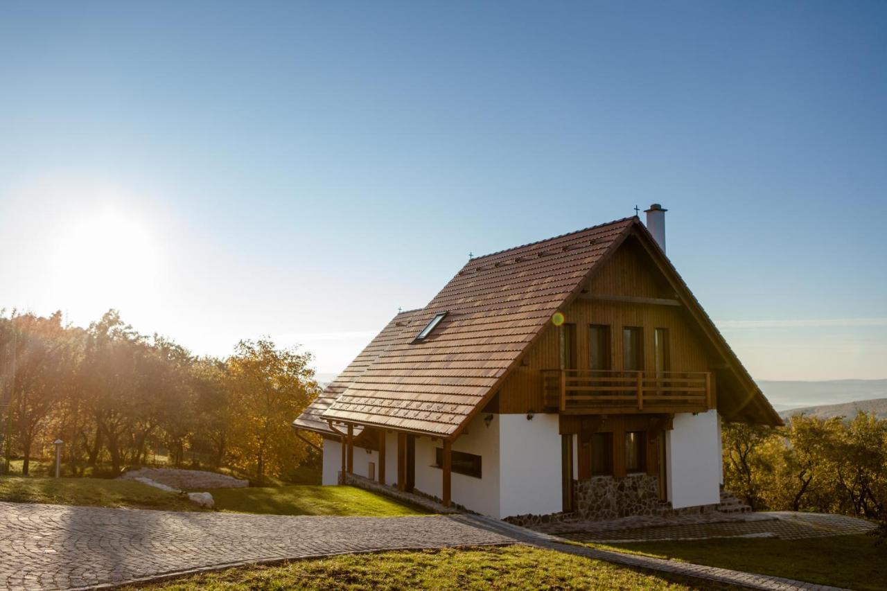 Pensiunea Szilas Panzio Păuleni Buitenkant foto