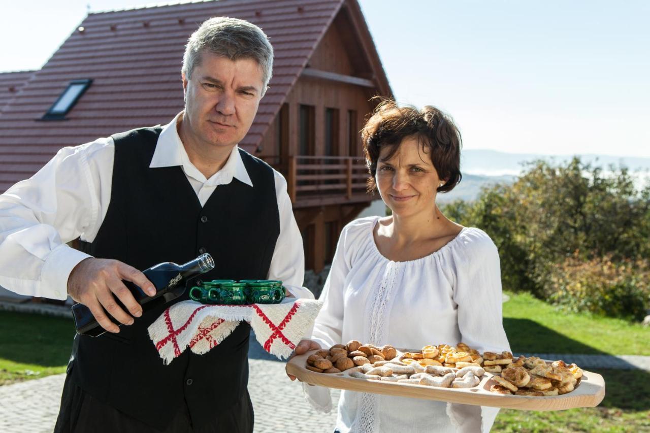 Pensiunea Szilas Panzio Păuleni Buitenkant foto